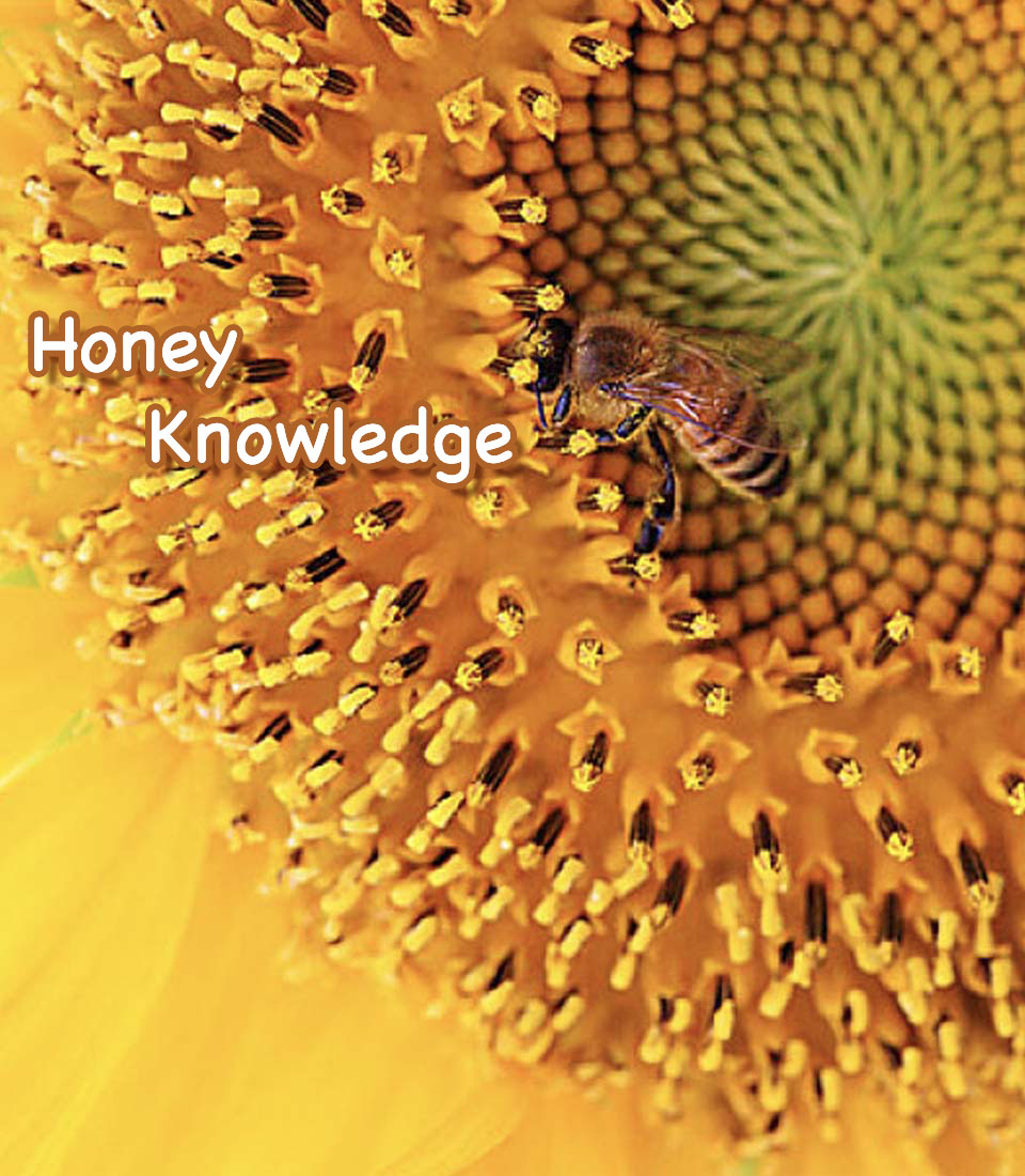 Production of <span>natural honey </span>KIWI BEEKEEPER